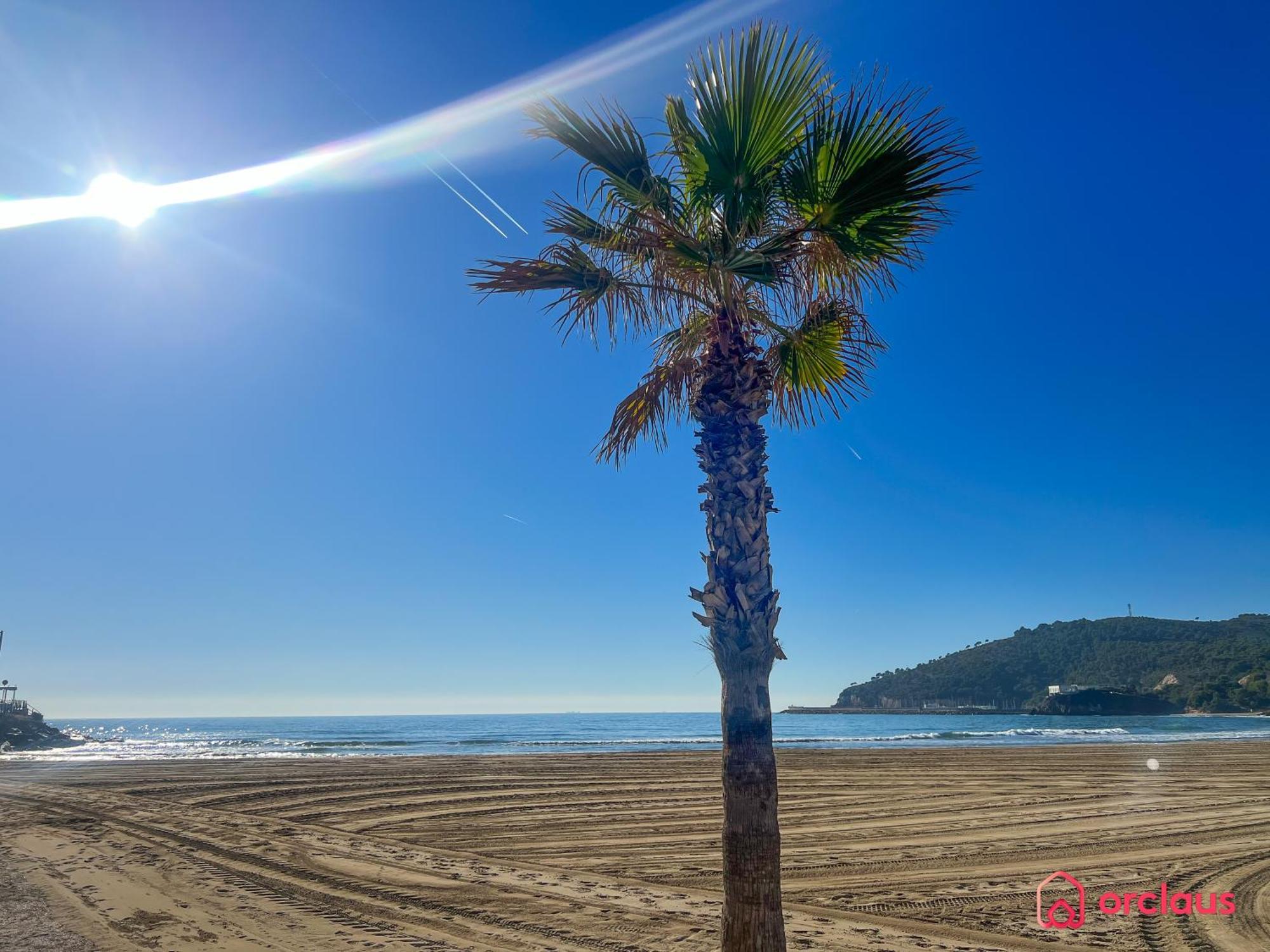 Cala Concha Appartement Oropesa del Mar Buitenkant foto